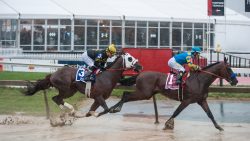 Preakness Stakes on Track to be Staged Outside Baltimore for the First Time
