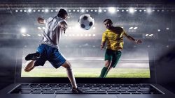 Sports Betting Tips For Your Success