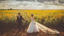 Wedding Insurance: Tailoring Protection for Your Celebration