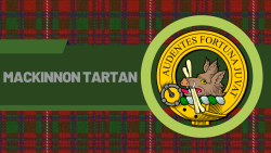 Let’s Explain Each and Everything about MacKinnon Tartan