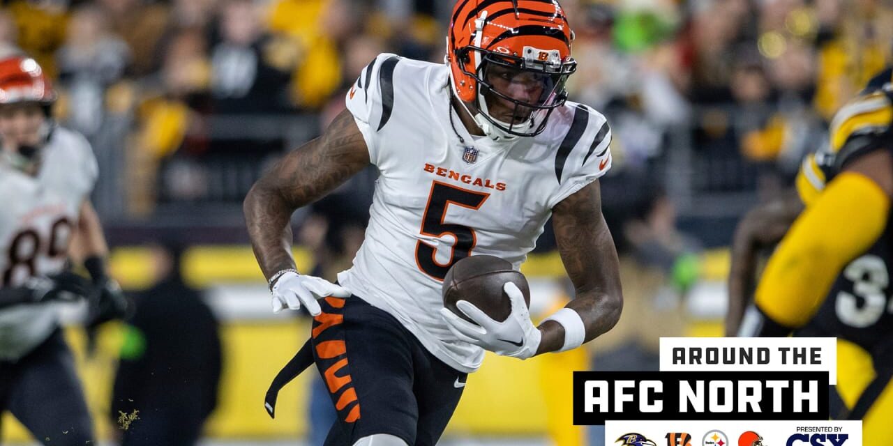 Bengals Place Franchise Tag on Tee Higgins