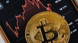 When is the Next Bitcoin Halving, and How May It Affect the BTC Price? 