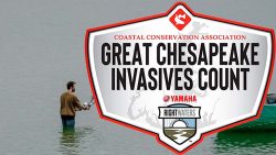 Coastal Conservation Association Maryland Launches the  Great Chesapeake Invasive Count  at Bay Bridge Boat Show