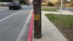 What Are These Things on the Telephone Poles?
