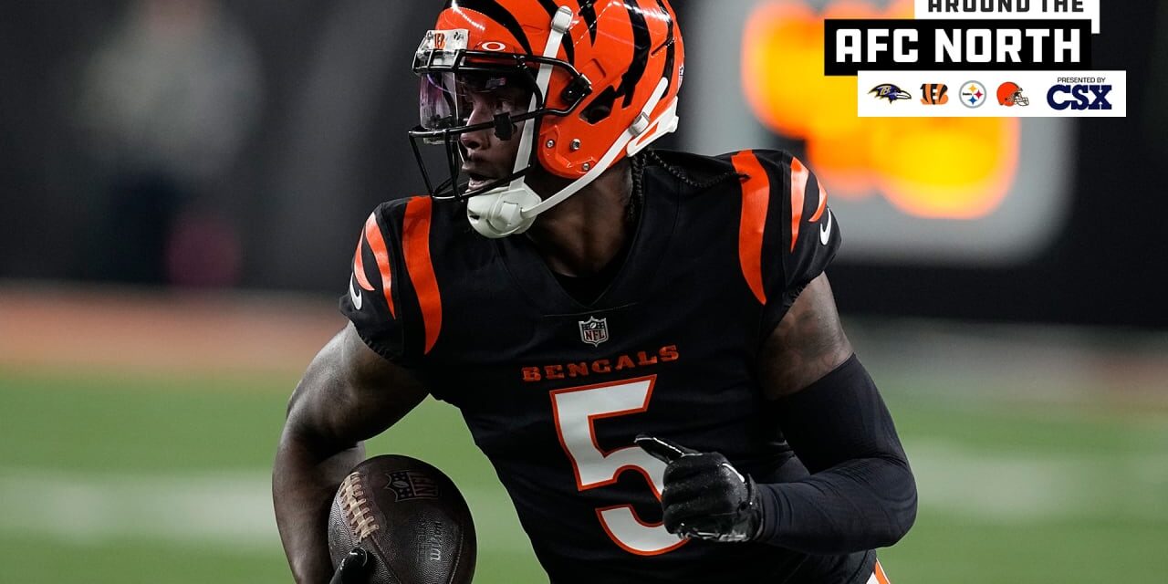 Around the AFC North: Tee Higgins Expects to Play for Bengals in 2024