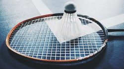 Effective Badminton Betting Game: Review of Top Badminton Athletes