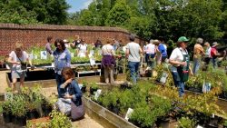 50th annual Paca Garden Plant Sale to be Held Mother’s Day Weekend