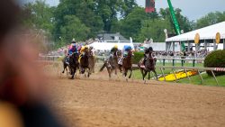 Get To Know The 2024 Belmont Stakes Probable Contenders