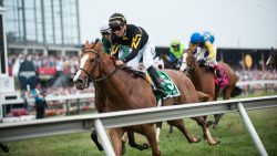 How to Bet on the Preakness Stakes in ANY US State – USA Sports Betting