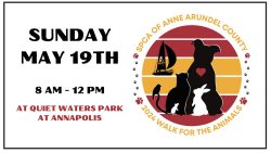 SUNDAY:  Anne Arundel SPCA Walk for the Animals at Quiet Waters Park