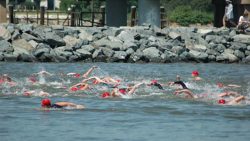 1,000 To Swim Across The Bay on Sunday in The Great Chesapeake Bay Swim
