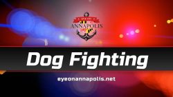 Glen Burnie Man Pleads Guilty to Federal Dogfighting Charges
