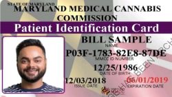 Exploring Essential Documents Required for a Maryland Medical Card at Local Dispensaries
