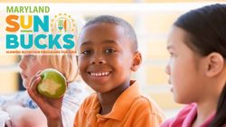 Governor Moore Announces Sun Bucks Program to Help Families Buy Groceries