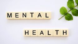 Understanding Different Types of Mental Health Conditions