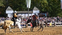 Maryland Renaissance Festival Opens This Weekend