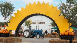 Experience the Best of Fall at Homestead Gardens Fall Fest 2024: Family Fun, Pumpkin Patch, and More