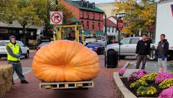 The Great Annapolis Pumpkins are Back!