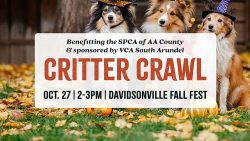 SUNDAY: Homestead Gardens to Host 12th Annual Critter Crawl Pet Costume Contest