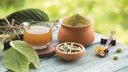 Kratom And Mental Health – Exploring The Science of Kratom