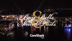 2024 Bay Bells & Shark Tails: Lights Parade + Environmental Education = A Magical Night