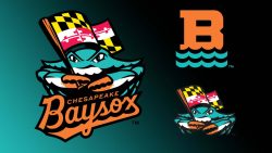 Baysox Shake Things Up for Next Season with New Name!