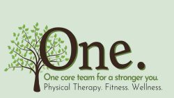 One. Physical Therapy. Fitness. Wellness. Marks 12 Years in Business