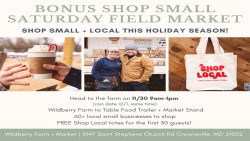 Wildberry to Host Special Shop Small Saturday Event on November 30