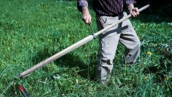 The Myth of the Rusty Blade: What Really Affects the Performance of Your Garden Scythe?