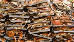 Crab Cakes, Culture, and Community: What’s Happening in Baltimore This May