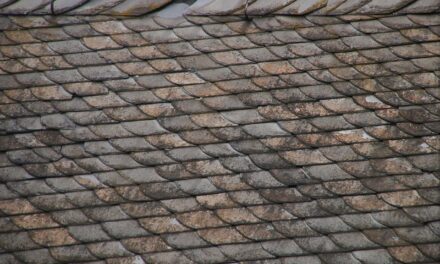 How to Prioritize Repairs When Roof Damage Is Widespread