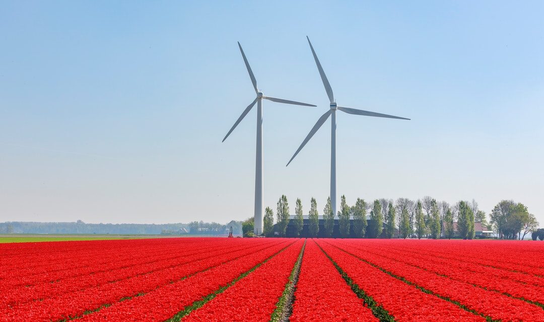 Why Renewable Energy Is Essential for Achieving Climate Goals