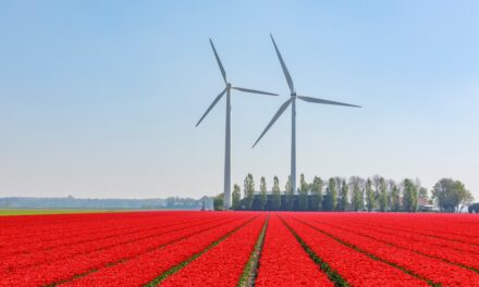 Why Renewable Energy Is Essential for Achieving Climate Goals