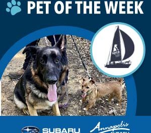 Meet Penny and Cash,  Our Canines & Crosstreks Adoptable Pet of the Week